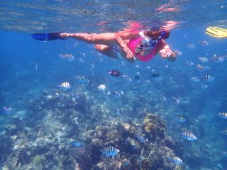 Snorkeling Tours