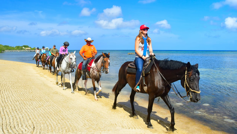 Horseback Riding Tours