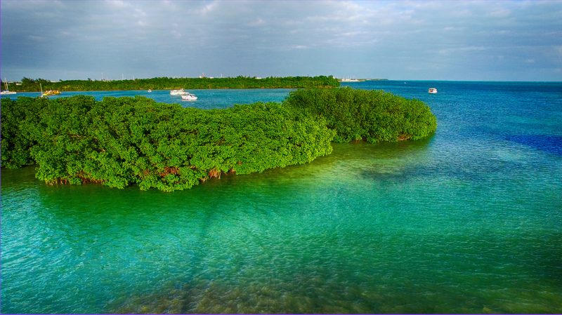 Scenic Ocean