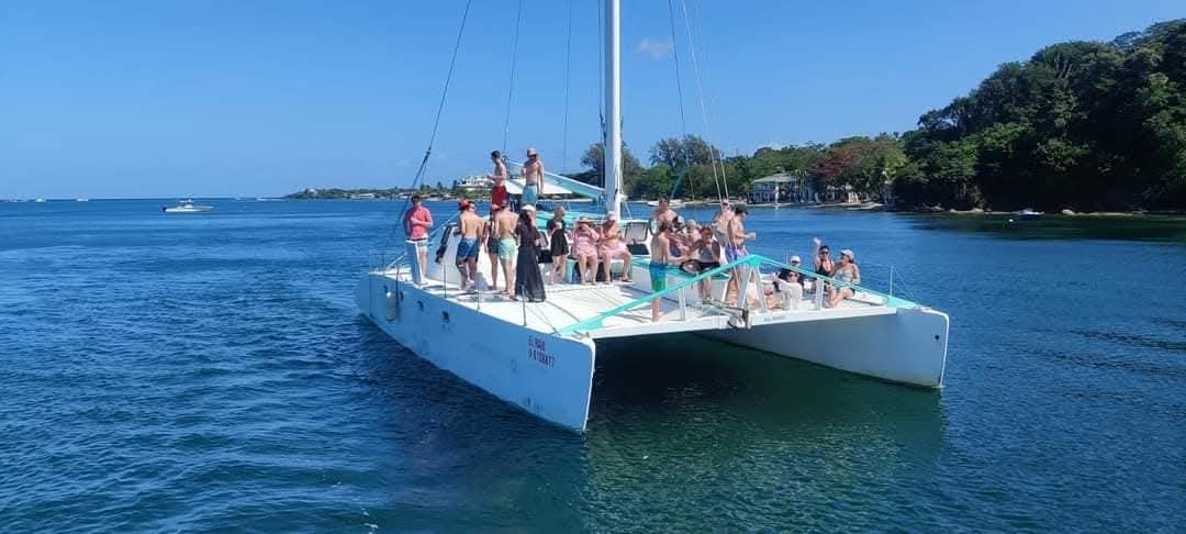 Catamaran Tours