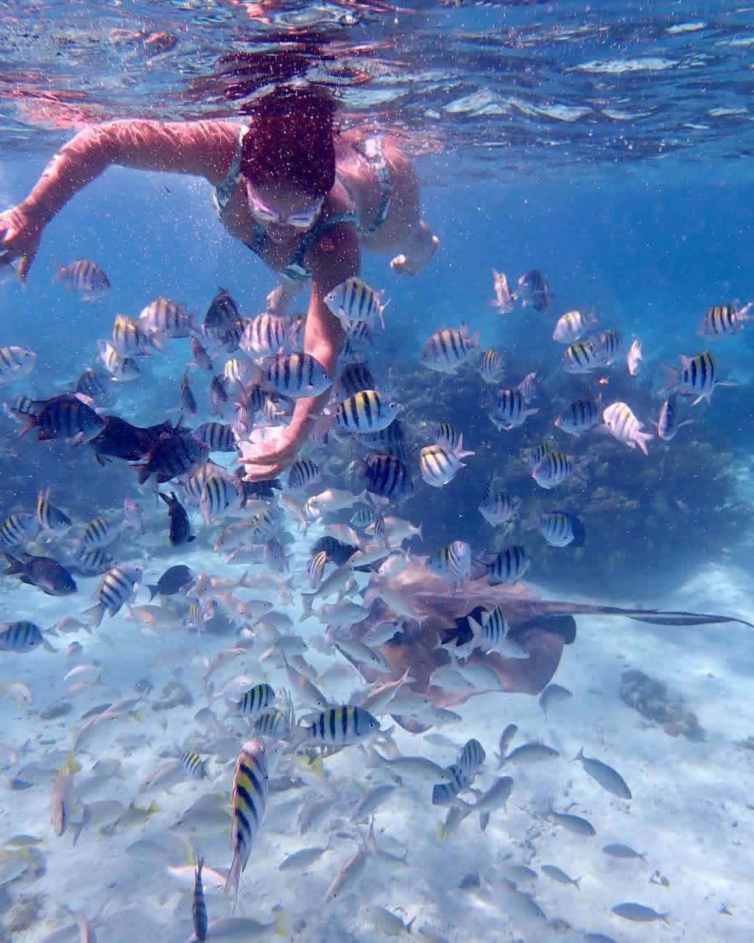 Snorkeling Tours