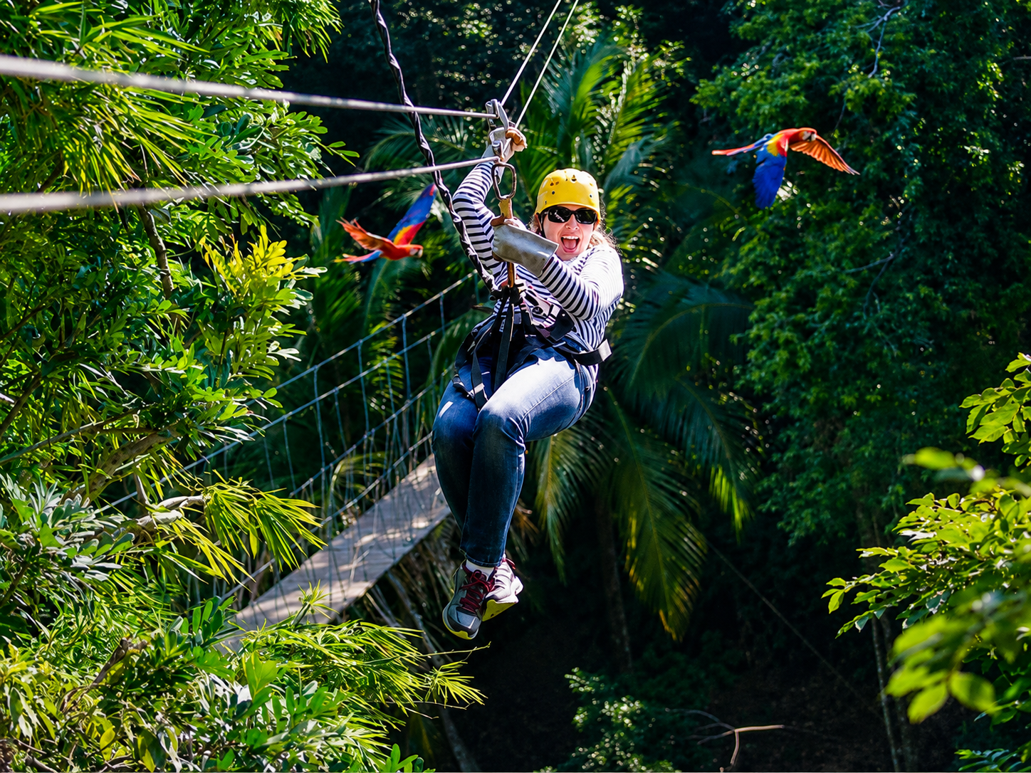 Jungle Zip Line